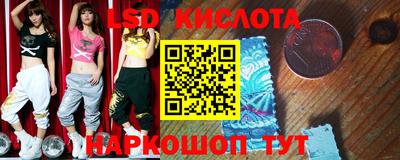 крисы Можга
