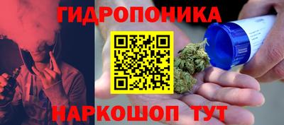 a pvp Малгобек