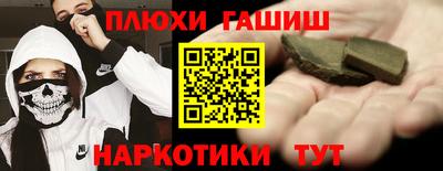 крисы Можга