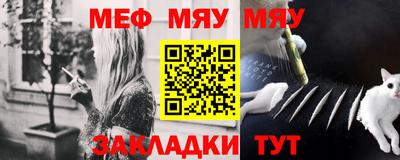 крисы Можга