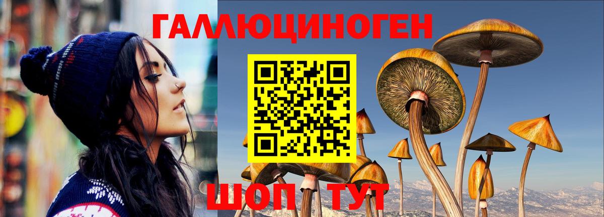 Псилоцибиновые грибы Psilocybe  Галлюциногенные грибы Magic Shrooms  Тимашёвск  Вход с VPN 